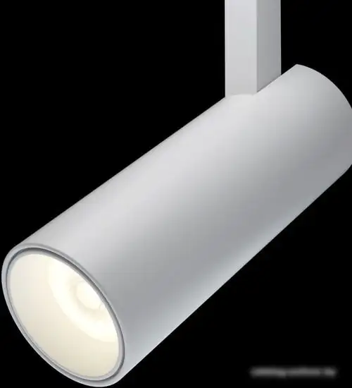 Точечный светильник Maytoni TR019-2-10W3K-W – фото товара