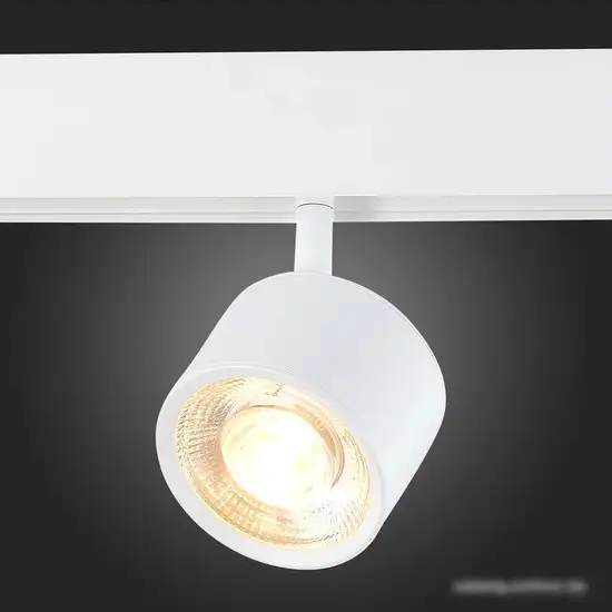 Светильник ST Luce Vedo ST353.536.06 – фото товара