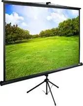 Проекционный экран CACTUS TriExpert 200x200 CS-PSTE-200х200-BK