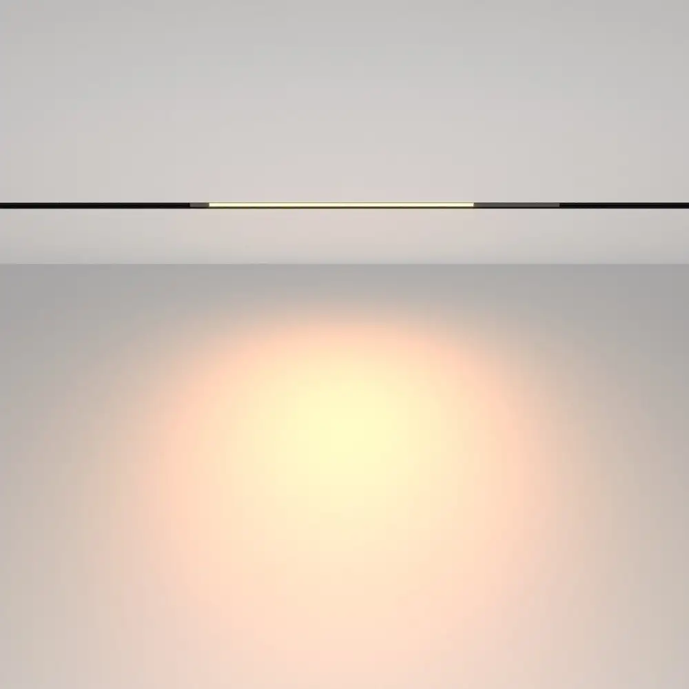 Трековый светильник Maytoni TR231-2-10W3K-B – фото товара