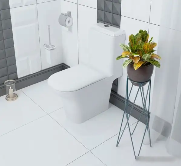 Унитаз Lavinia Boho Bristol Rimless 3305001R - фото товара