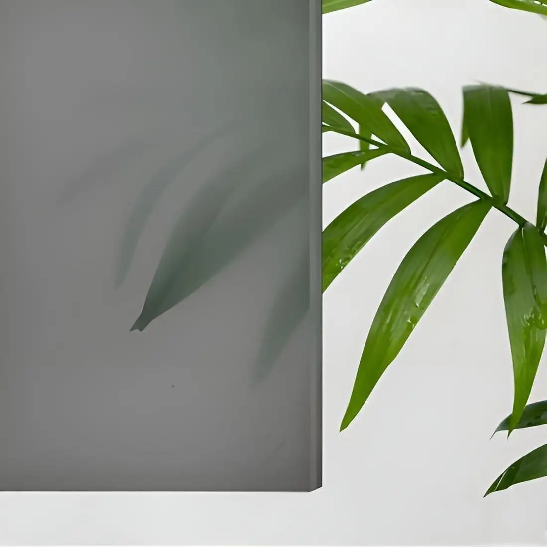 Душевая дверь RGW CL-13B 06091315-34 (черный/тонированное стекло) - фото товара