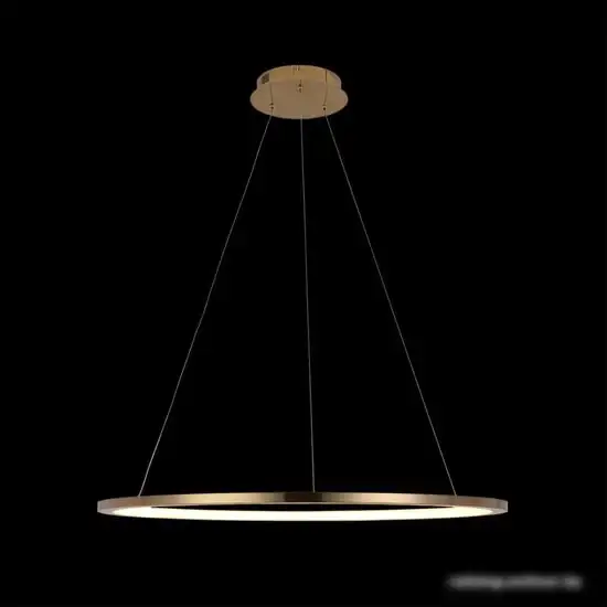 Подвесная люстра LOFT IT Ring 10014L – фото товара