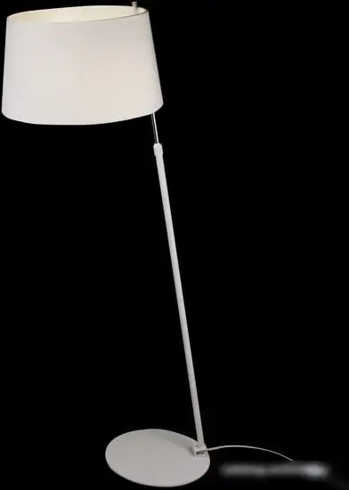 Торшер Maytoni Bergamo MOD613FL-01W – фото товара