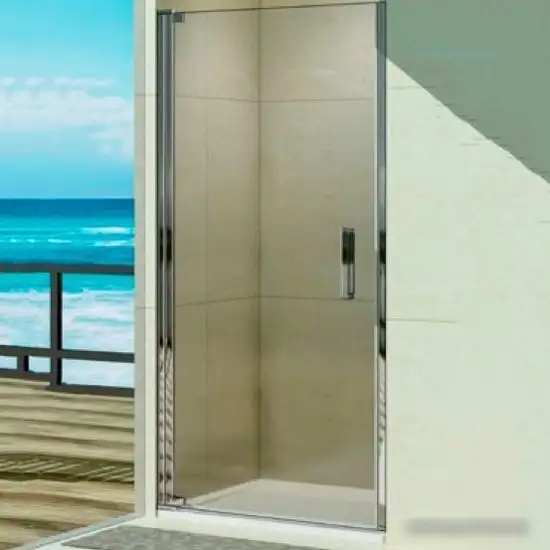 Душевая дверь WeltWasser WW600 600K1-80 - фото товара