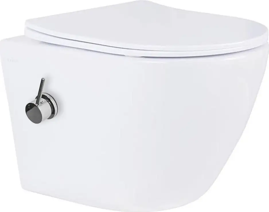 Унитаз подвесной Roxen Antares Bidet в комплекте с инсталляцией StounFix Dual Fresh 6 в 1 868587 (кнопка: сатин матовая) - фото товара