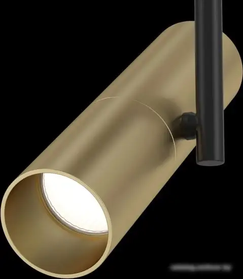 Трековый светильник Maytoni TR005-1-GU10-BG TR005-1-GU10-BG – фото товара