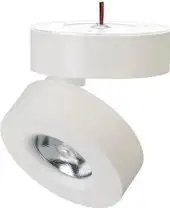 Спот Arlight SP-MONA-SURFACE-R100-12W (WH) 025439(1) – изображение в каталоге