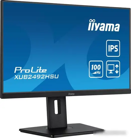 Монитор Iiyama ProLite XUB2492HSU-B6 – фото товара