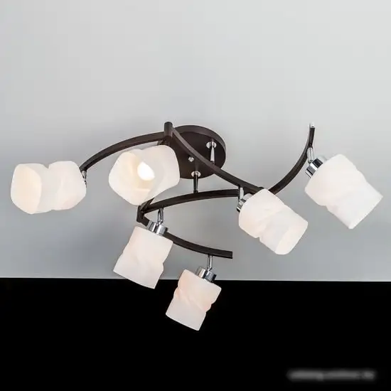 Припотолочная люстра Citilux Берта CL126162 – фото товара