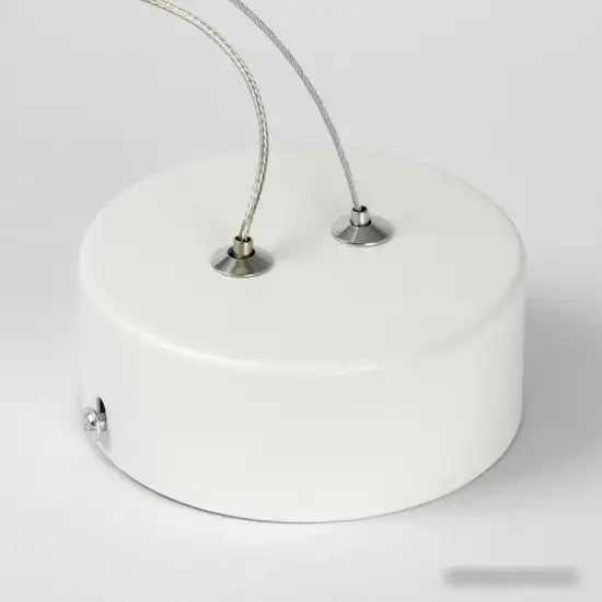 Подвесная люстра Lussole Aberdeen LSP-7085 – фото товара