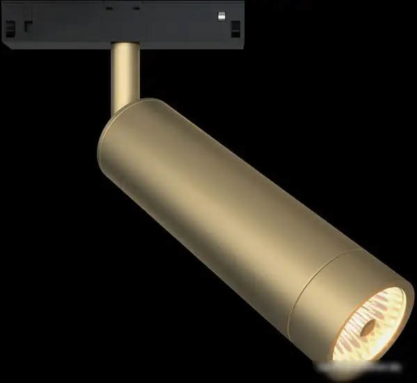 Точечный светильник Maytoni TR019-2-7W4K-MG – фото товара