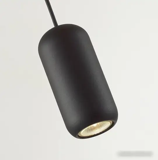Подвесная люстра Odeon Light Cocoon 5060/1B – фото товара