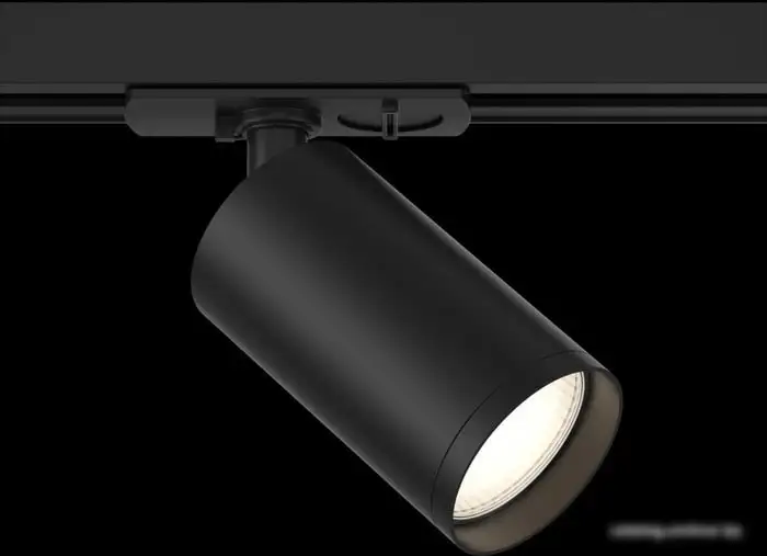 Трековый светильник Maytoni TR020-1-GU10-B – фото товара