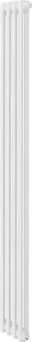 Стальной трубчатый радиатор Royal Thermo Insignia VC2180 - 04 секций RAL9016 - изображение в каталоге