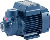 Нормальновсасывающий насос Pedrollo PKm 60 - изображение в каталоге