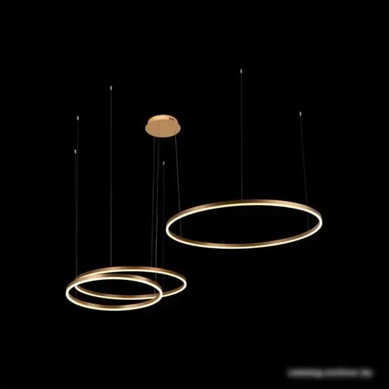 Подвесная люстра LOFT IT Ring 10017/3S – фото товара