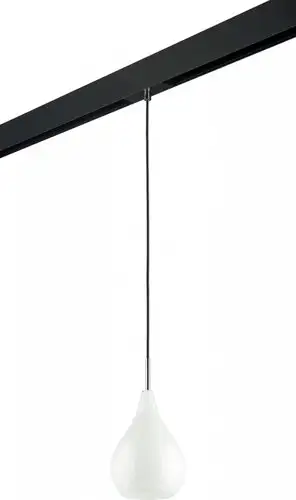 Трековый светильник Lightstar Pentola PRO803030 – изображение в каталоге
