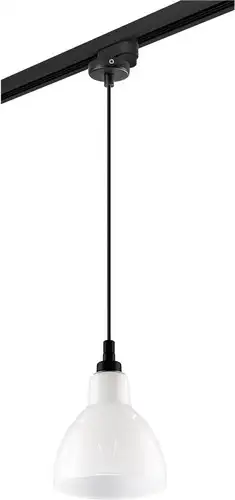 Трековый светильник Lightstar Loft L1T865017 – изображение в каталоге