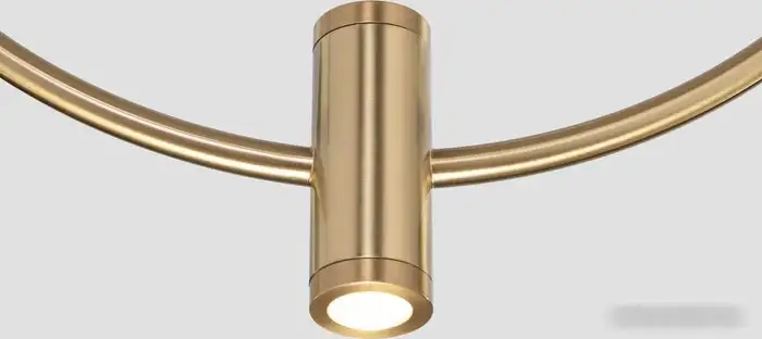 Подвесная люстра Евросвет 50257/3 LED черный/ латунь – фото товара