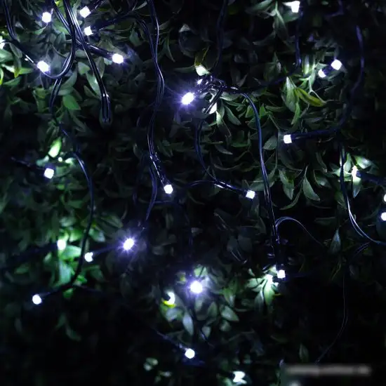 Новогодняя гирлянда ЭРА ERAPS-U10 – фото товара