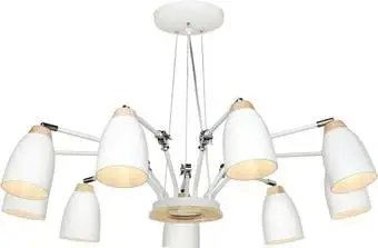 Подвесная люстра LOFT IT LOFT4402/9WH – изображение в каталоге