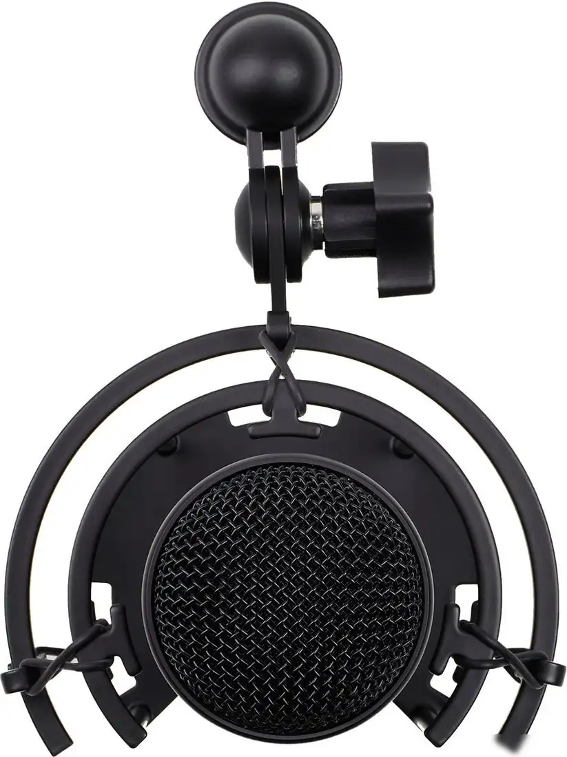 Проводной микрофон Radiotehnika MCD-01 – фото товара