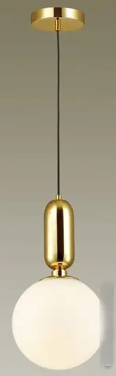 Подвесная люстра Odeon Light Okia 4669/1 – фото товара