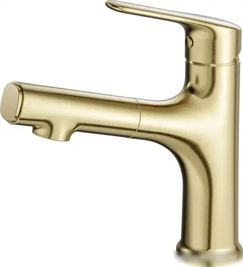 Смеситель Wonzon&Woghand WW-AE4151-BG - изображение в каталоге