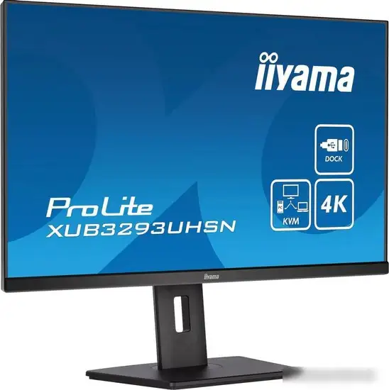 Монитор Iiyama ProLite XUB3293UHSN-B5 – фото товара