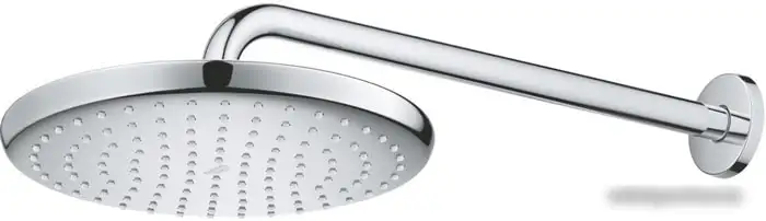 Верхний душ Grohe Tempesta 250 26668000 - фото товара