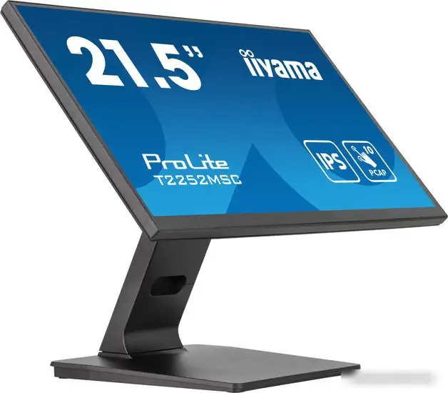Монитор Iiyama ProLite T2252MSC-B2 – фото товара