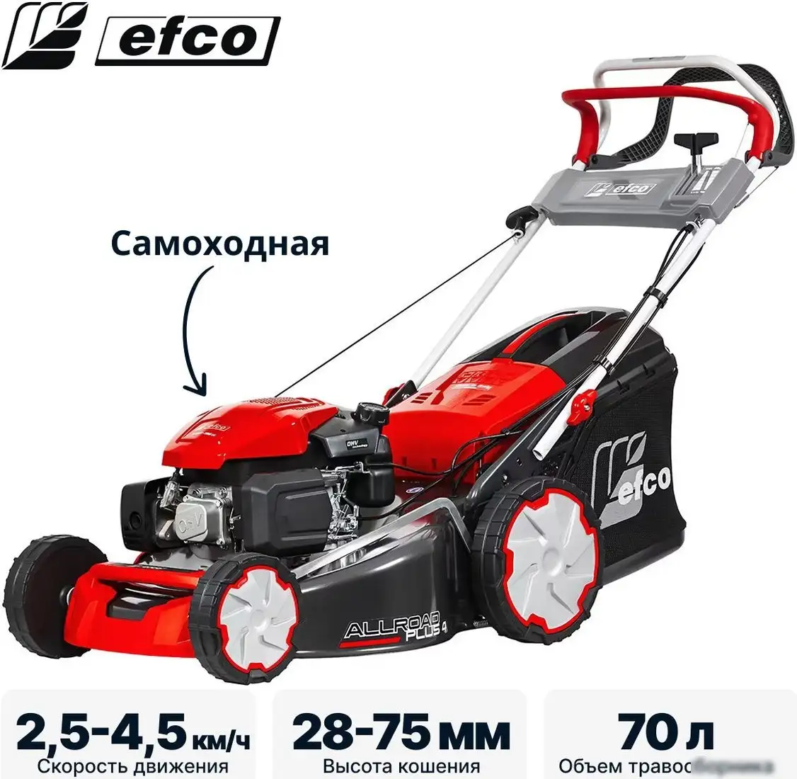 Газонокосилка Efco LR 53 VK Allroad Plus 4 (2026) – фото товара