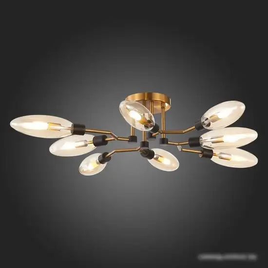 Припотолочная люстра ST Luce Desima SL1174.302.08 – фото товара