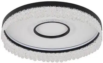 Припотолочная люстра F-Promo 4187-2C – изображение в каталоге