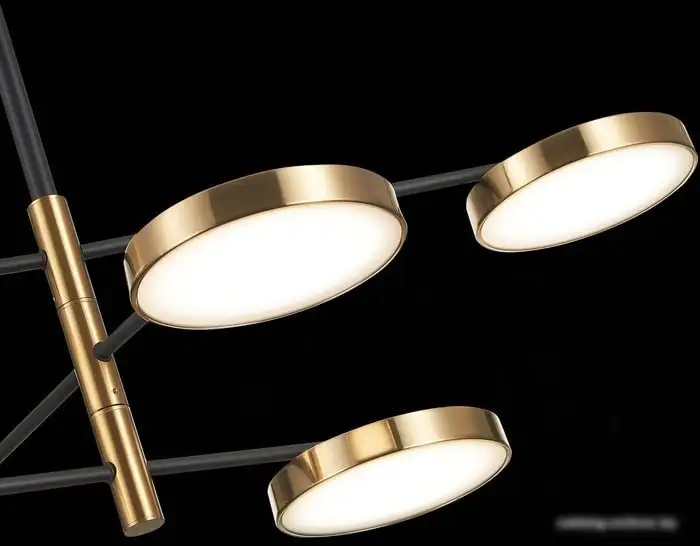 Подвесная люстра ST Luce Farone SL1605.413.06 – фото товара