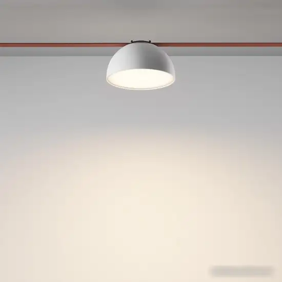 Точечный светильник Maytoni Bowl TR126B-20W3K-W – фото товара