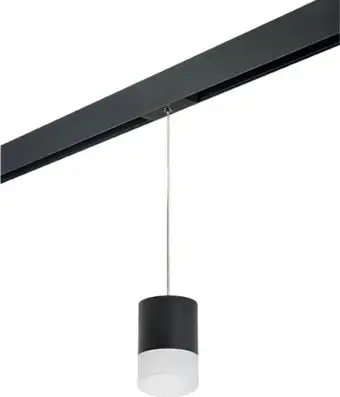 Трековый светильник Lightstar Rullo PRORP348781 – изображение в каталоге