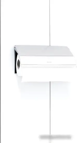 Держатель для бумажных полотенец Brabantia 313868 (стальной матовый) – фото товара