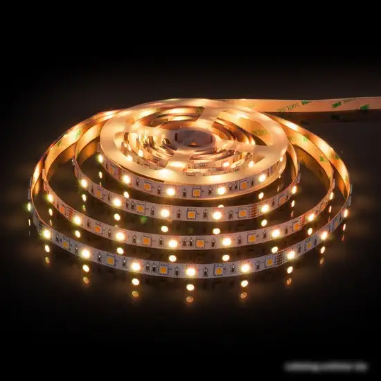 Светодиодная лента Elektrostandard 24V 14.4W 60Led 5050+5050 IP20 MIX RGB/теплый белый a053728 – фото товара