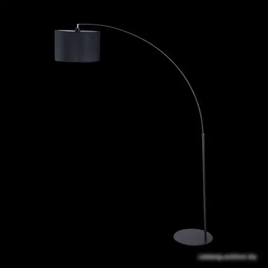 Торшер Maytoni Nevada Z328-FL-01-B – фото товара