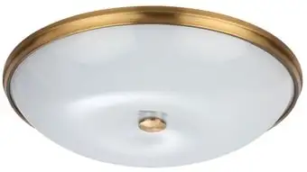 Люстра-тарелка Odeon Light Pellow 4956/4 – изображение в каталоге