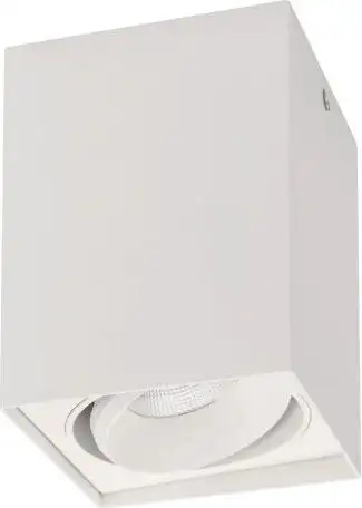 Точечный светильник Arlight SP-CUBUS-S100x100-11W Day4000 023078(2) – изображение в каталоге