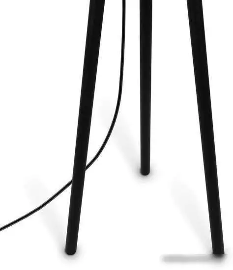 Торшер Maytoni Z177FL-01B – фото товара