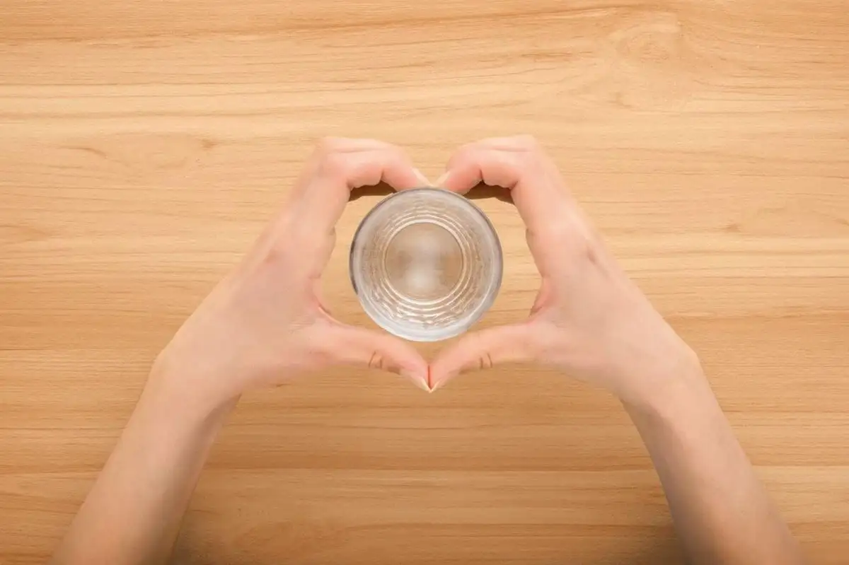 Встраиваемая посудомоечная машина Gorenje GV642D90 - фото товара