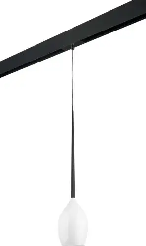 Трековый светильник Lightstar Meta PRO807110 – изображение в каталоге