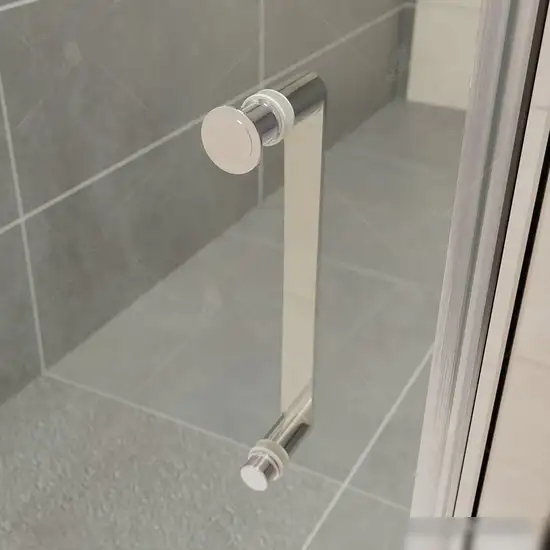 Душевая дверь RGW PA-14 41081410-51 100 (хром/шиншилла стекло) - фото товара