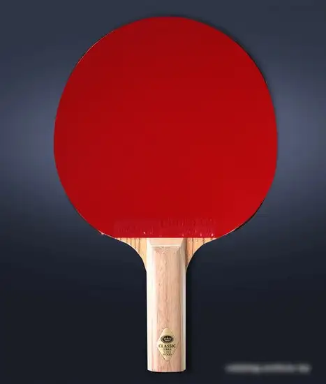 Ракетка для настольного тенниса Gambler Zebrawood Classic Volt M GRC-2 (прямая) – фото товара