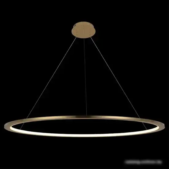 Подвесная люстра LOFT IT Ring 10014XXL – фото товара