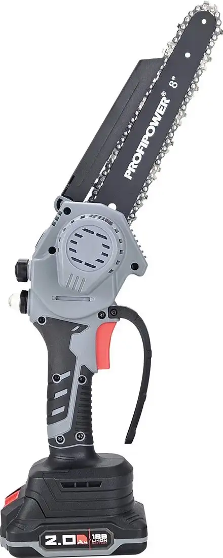 Profipower MKGSH-18V (с 2-мя АКБ) – фото товара